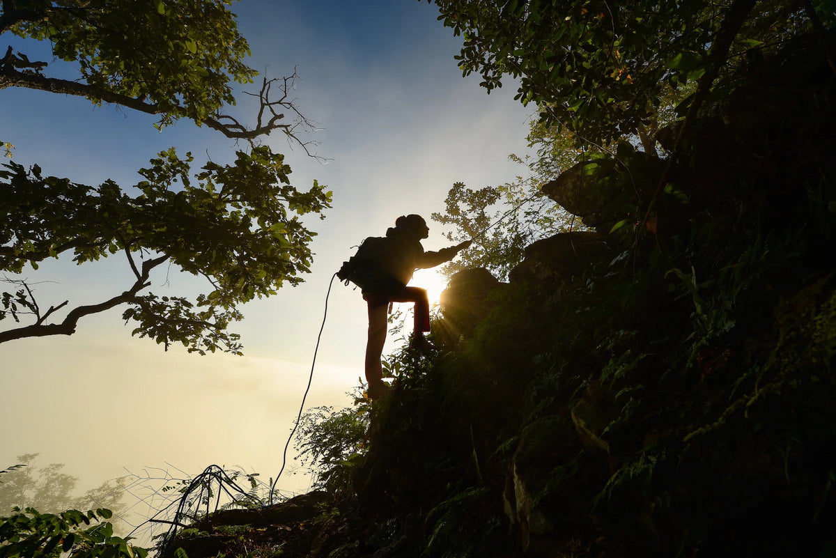 Silhouette of a climber on a rope on a rocky ledge at sunrise, framed by tree branches